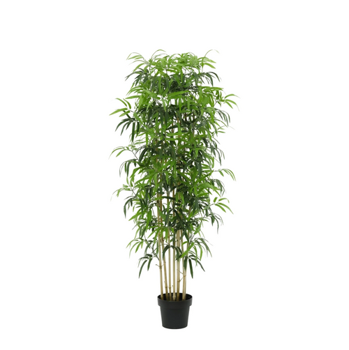 ARTIFICIAL Bamboe - 180cm Everspring